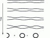 Figure 7 - Fibril rupture due to Rayleigh instability [15].