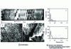 Figure 9 - Mixing incompatible polymers in a twin-screw extruder [17].