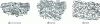 Figure 42 - Main lamellar clay nanocomposite configurations