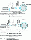 Figure 13 - Principle of Ultrasonic Thickness Measurement (Beta LaserMike document)