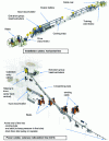 Figure 5 - Power Cable Extrusion Line (Maillefer Extrusion Document)