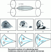 Figure 44 - Correlation between the appearance of chevron defects and lateral visualization of the evolution of recirculation in the bead in successive sections