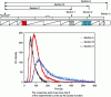 Figure 7 - DTS measurements at three points on a corotative bivis extruder using the UV-fluorescence method (after [16])