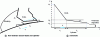 Figure 11 - Flow between the doctor blade and the cylinder, and its schematic representation