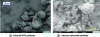 Figure 5 - Bimodal PVC particles and calcium carbonate particles (average size 30 µm)