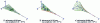Figure 63 - Propfan: unbalance on rotor 2, deformed at 8,336, 10,763 and 16,000 rpm (Sysrotor - license, CNRS-INSA-Lyon-LMSt)