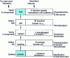 Figure 2 - Characterization of the drive train for each attachment point in the figure b