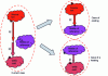 Figure 19 - Heat transfer through room temperature – Optimization