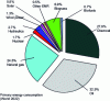 Figure 6 - Breakdown of primary energy consumption worldwide for the year 2022 (source: ourworldindata.org)