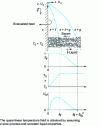 Figure 1 - Film condensation along a vertical impermeable wall. Saturation, temperature and liquid velocity profiles (from [24])