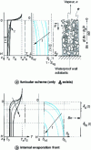 Figure 3 - Evaporation through a permeable boundary surface