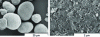 Figure 10 - Scanning microscope image of nickel hydroxide particles