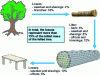 Figure 1 - Material losses along the wood utilization chain (Average data. Source: ENSTIB)