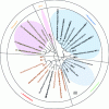 Figure 3 - Phylogenetic distribution of magnetotactic bacteria (phylogenetic tree based on 16S rRNA gene sequences of cultured or environmental magnetotactic bacteria (shown in bold) and related non-magnetotactic species)