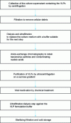 Figure 7 - Example of a VLP purification workflow for clinical testing