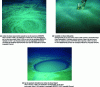 Figure 2 - Deep hypersaline anoxic basins in the Mediterranean Sea west of the Nile delta
