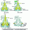 Figure 26 - Bowl operating diagram (copyright GEA Westfalia)