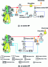 Figure 46 - EGR circuits [9] (copyright J-ENG)