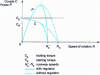 Figure 6 - Air-cooled positive-displacement motor: characteristic curves