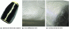 Figure 2 - Examples of fibers