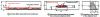 Figure 22 - Geometric characterization of a defect