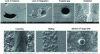 Figure 16 - Various manufacturing defects observed under a scanning electron microscope (source: CETIM)