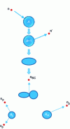 Figure 21 - Illustration of potential sources of prompt neutron emission during neutron-induced fission (from [42])