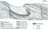 Figure 15 - The geology of the deposit (Naudet)