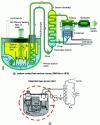 Figure 4 - Sodium-cooled fast neutron reactor (RNR-Na or SFR) (based on [10])