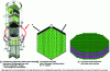 Figure 3 - Schematic of GE-Hitachi’s regenerative REB project featuring a 3D heterogeneous core with the “optimistic” slogan: “Just change the core portion”