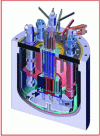 Figure 5 - Integrated-type RNR-Na reactors (France, Russia, India, China, etc.)