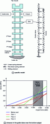 Figure 16 - Axial dynamic assembly behavior model for an accident study