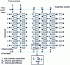 Figure 18 - Model of a row of 15 assemblies
