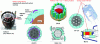 Figure 24 - Illustration of the three main types of systems for controlling the reactivity of a nuclear power plant