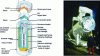 Figure 22 - Packaging TN28VT