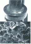Figure 10 - Macroscopic appearance and intergranular fracture morphology of a cracked work-hardened 316 austenitic stainless steel tank liner screw (reproduced from [BN 3 679])