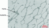 Figure 11 - Typical microstructure of a cast austenitic-ferritic stainless steel product