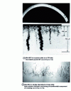 Figure 10 - Examples of high-speed tube degradation
caused by a combination of generalized intergranular corrosion and
stress corrosion cracking