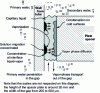 Figure 4 - Mass transport processes leading to the
formation of concentrated media in a tube-plate-spacer gap (from [6]).