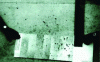 Figure 5 - Average bubbling scale (according to FD P 18-503)