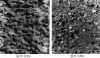 Figure 45 - Surface roughness where R t is 3.3 mm or 0.8 mm for water jet blasting and for the same pressure conditions applied (1,500 bar or 150 MPa)
