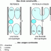 Figure 2 - Example of flexibility in spatial organization