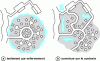 Figure 12 - Addressing a “transplant”: the two design principles