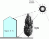 Figure 13 - Use of a vegetative screen for solar protection