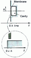 Figure 3 - Notations used to determine the impedance of a closed membrane on a cavity