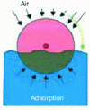 Figure 10 - Cross-section of a horizontal flow planted filter