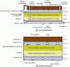 Figure 11 - Cross-section of a drained zeolite filter bed