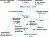 Figure 11 - Simplified mechanisms of clog formation