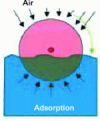 Figure 14 - Schematic cross-section of a biological disc