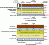 Figure 15 - Cross-sectional views of a drained filter bed filled with zeolite
